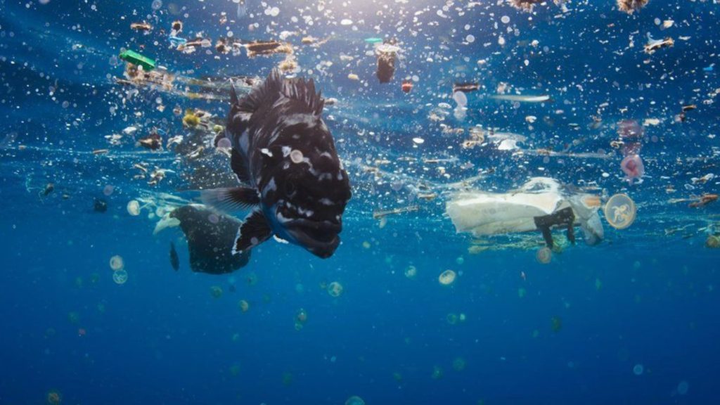 72% des plastiques proviennent de seulement 10 rivières. Elles sont nos objectifs à moyen terme.