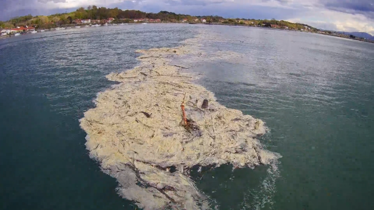 convergence des déchets à l'intérieur de l'estuaire à marée haute